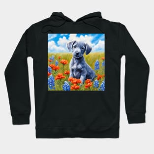 Blue Lacy Puppy in Texas Wildflower Field Hoodie